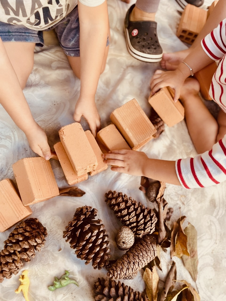 Atividade no quintal 2