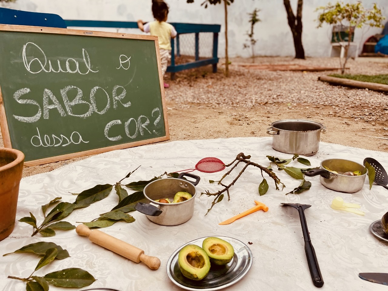 Atividade no quintal 3